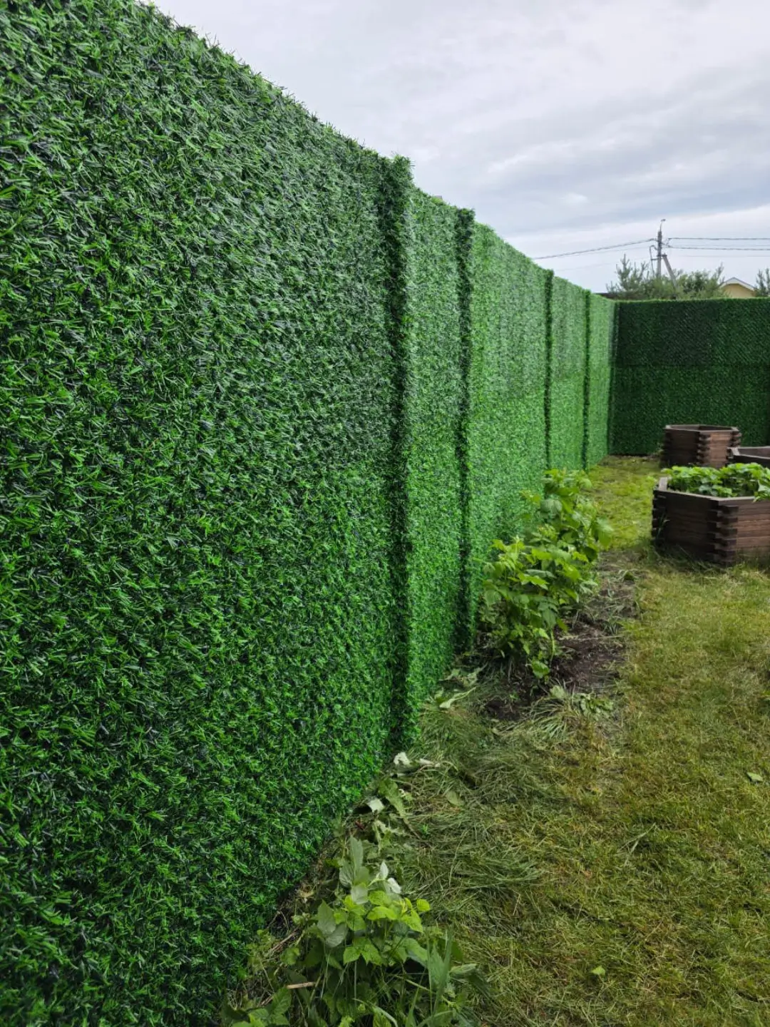 Вечнозеленый забор Grass Fence 37м фото 1 в Кирове